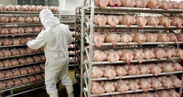 Más destrucción de empleos: 20 despidos en la avícola ServiAves Más destrucción de empleos: 20 despidos en la avícola ServiAves