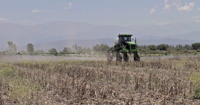 Docentes presentaron un amparo para frenar el uso de agroquímicos alrededor de las escuelas