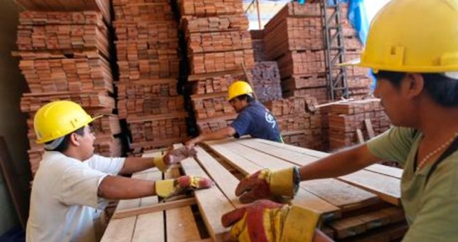 En el 78% de las madereras cayó la producción y el 35% despidió personal En el 78% de las madereras cayó la producción y el 35% despidió personal