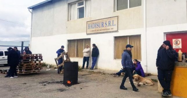 Desesperación de los despedidos de Badisur: “Nos van a sacar muertos de acá” Desesperación de los despedidos de Badisur: “Nos van a sacar muertos de acá”