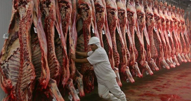 Gremios de la carne amenazan con paralizar la actividad si no se retoman las paritarias Gremios de la carne amenazan con paralizar la actividad si no se retoman las paritarias