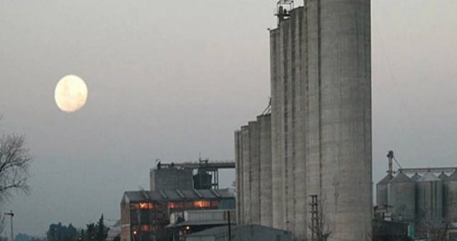 Molino Cañuelas dice que sólo tiene problemas financieros y que no peligran sus más de 3 mil empleos Molino Cañuelas dice que sólo tiene problemas financieros y que no peligran sus más de 3 mil empleos