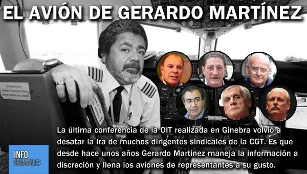 El avión de Gerardo Martinez