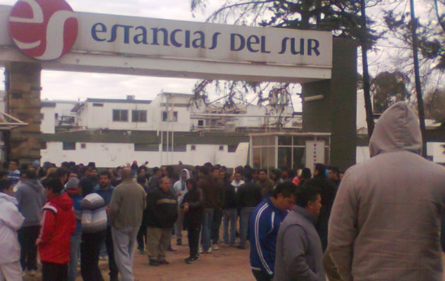 Margfrig dejó 350 empleados más en la calle