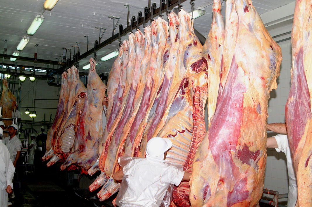 Denuncian parálisis del sector de la carne