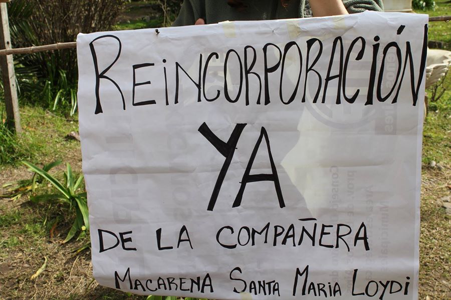 Denuncian persecución gremial en el Zoo Platense