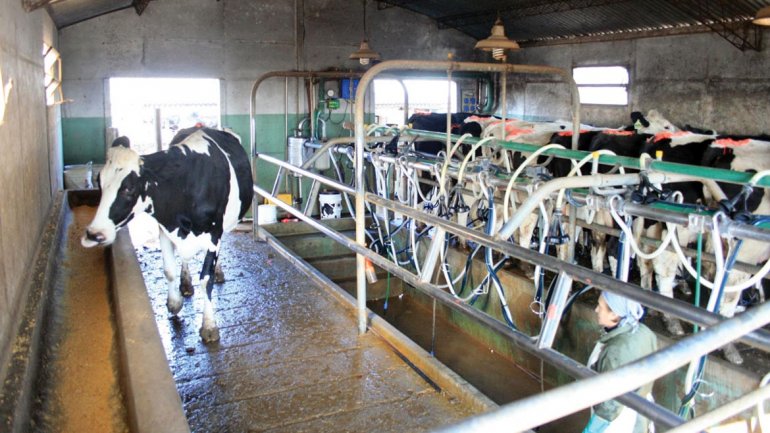 Los fondos gremiales dividen la industria lechera