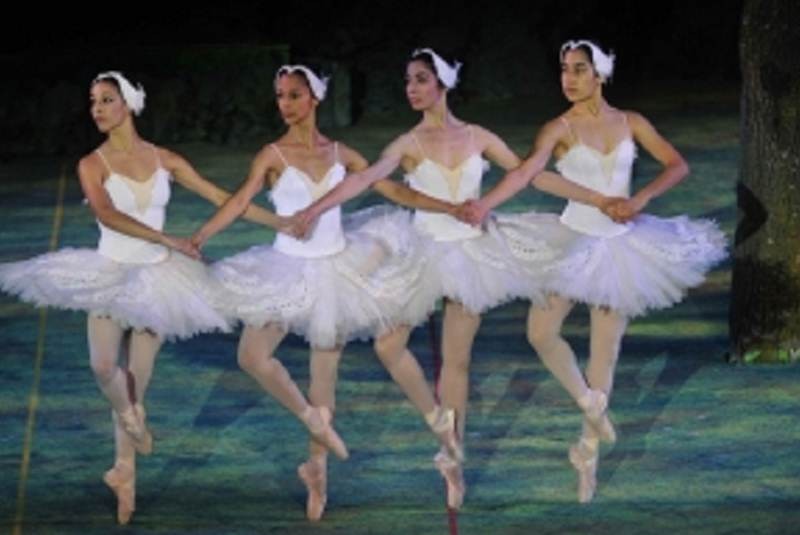 Se viene el Sindicato de la Danza