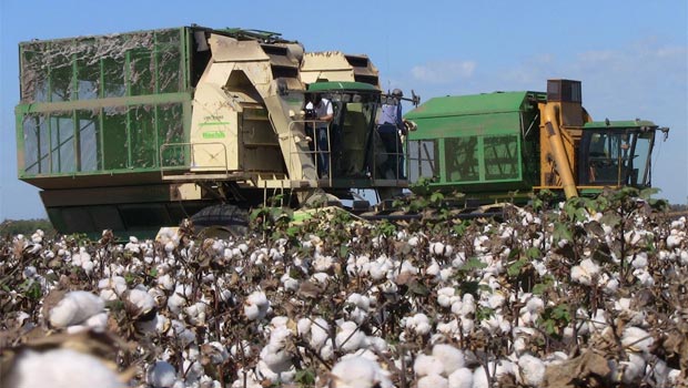 Desmontadores de algodón acordaron 30%