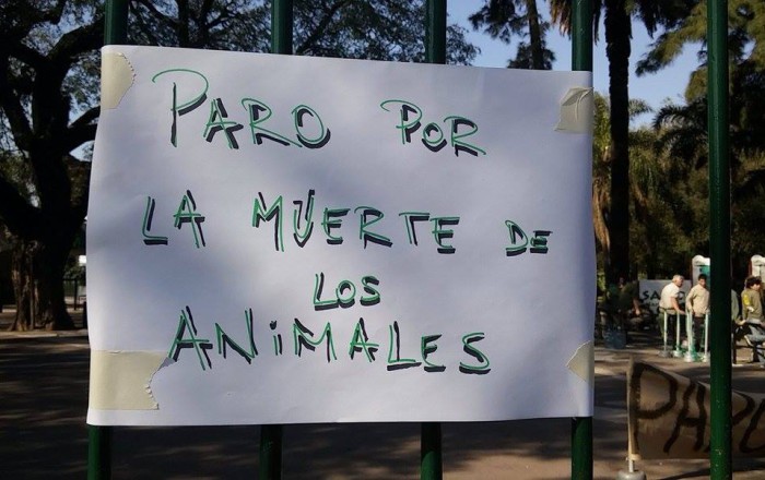 Legisladores acompañarán a empleados del Zoo
