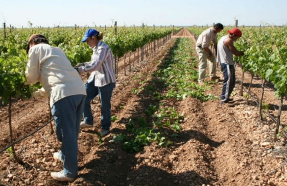 Lanzan una nueva Federación de Trabajadores Agrarios