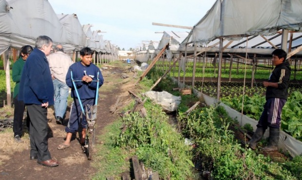 Horticultores hablan de 2 mil empleos en peligro