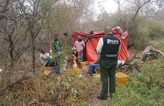 Detectan trabajo infantil en una finca de Salta