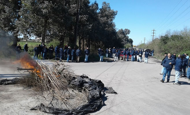 Más angustia en Zárate: 25 despidos en Papelera Del Plata