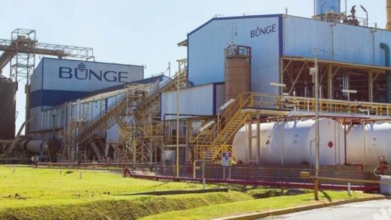 Aceiteros apuntan a «revanchismo» de Bunge por los avances en materia de derechos