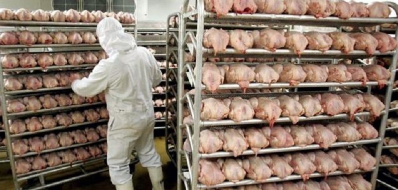 Más destrucción de empleos: 20 despidos en la avícola ServiAves