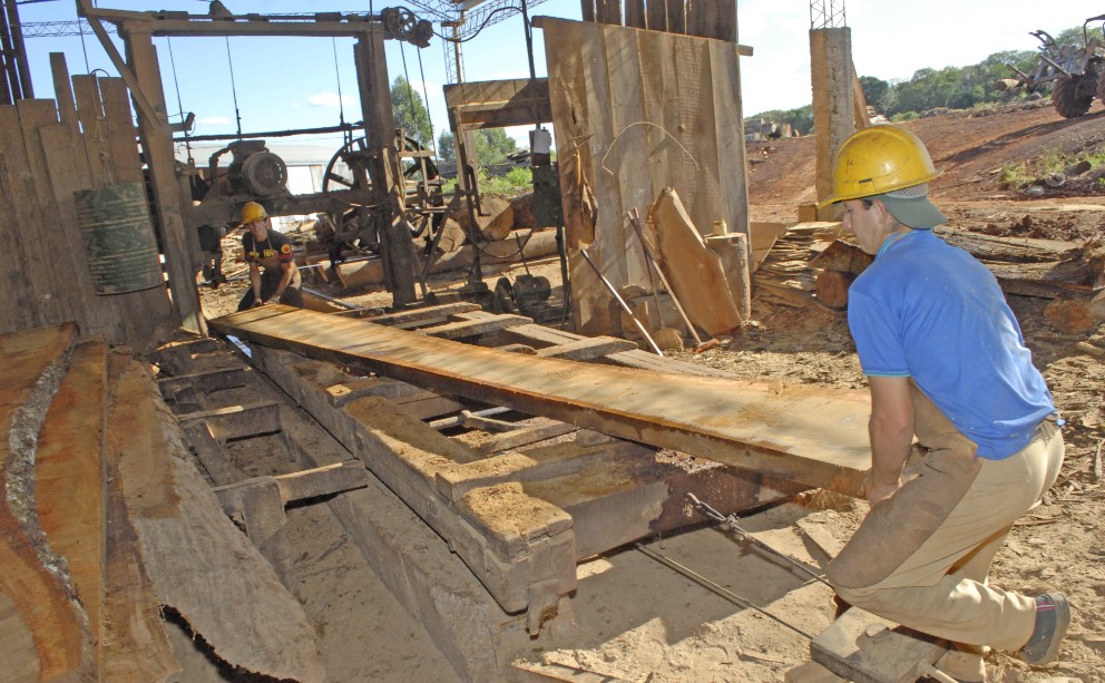 Se derrumba la industria maderera y hay temor por los puestos de trabajo