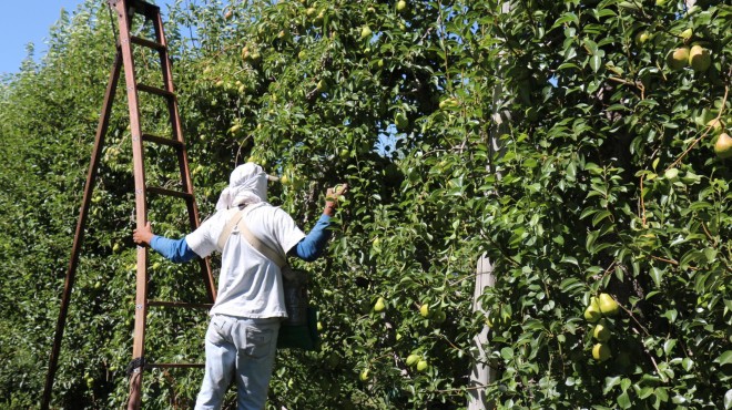 El sindicato de la fruta se suma a los que revisaron y agregó un 18%