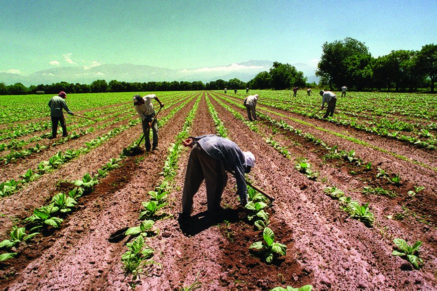 La Uatre comunicó que los peones rurales tendrán bono de fin de año