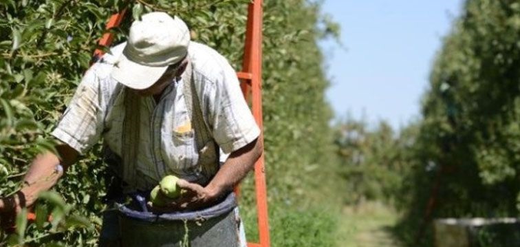 Tampoco arranca el campo: despiden a 17 peones rurales