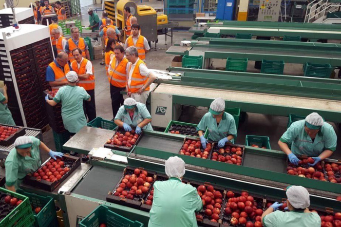 Tras las protestas, el gremio de la fruta firmó un 42% en paritarias