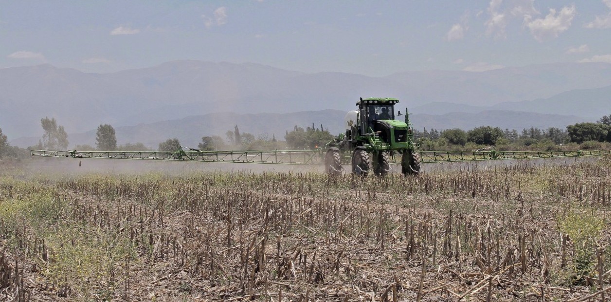 Docentes presentaron un amparo para frenar el uso de agroquímicos alrededor de las escuelas