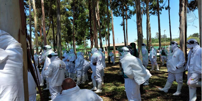 Piden intervención política por los despidos de gremialistas en Granja Tres Arroyos