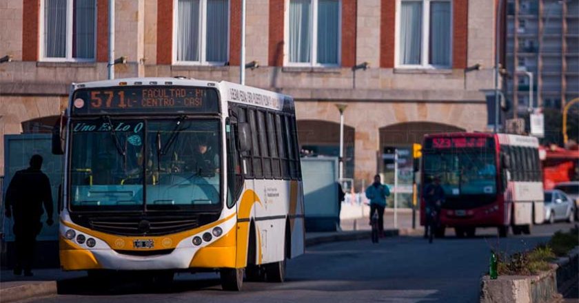 Continúa el paro de colectivos en Mar del Plata y el intendente pidió la conciliación obligatoria