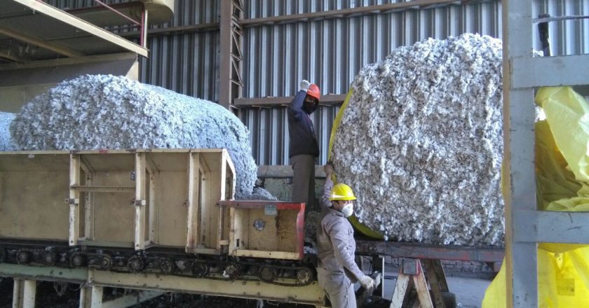 Tras la histórica paritaria aceitera, Yofra lanza una huelga nacional para que activen la revisión salarial de los desmotadores