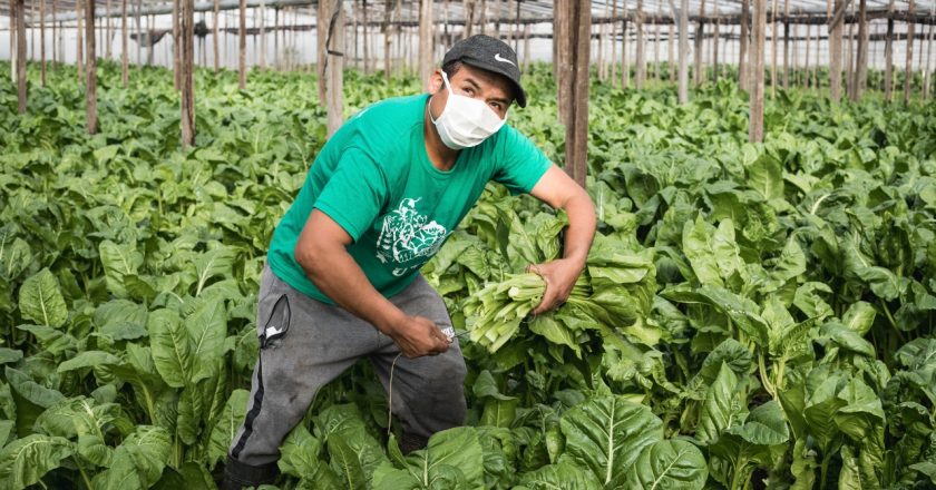El 1° de Mayo de los trabajadores de la tierra: entre la necesidad de acceso al suelo y la producción agroecológica