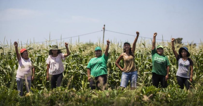 Gremio de campesinos cruzó a Infobae por confundirlos con agroexportadores: «Agradecemos que reconozcan que «el campo» somos lxs trabajadorxs»