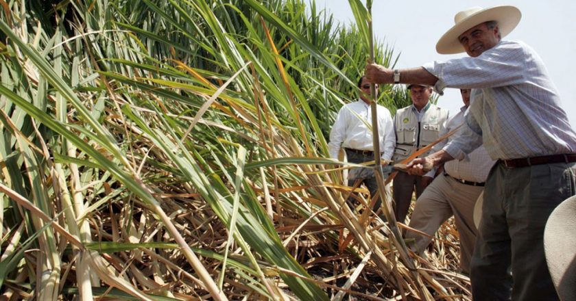 Azucareros jujeños piden incorporarse a programas laborales durante el período de interzafra