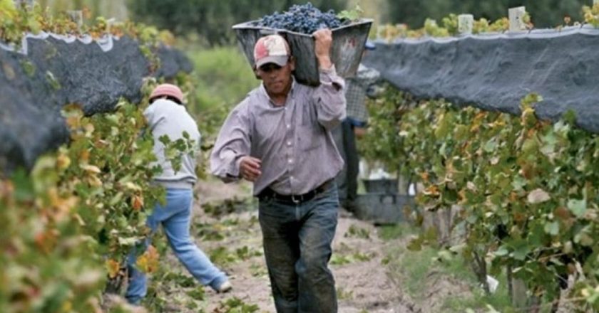 Piden que las provincias adhieran al DNU para que comience a regir la norma que compatibiliza planes sociales con trabajo rural registrado