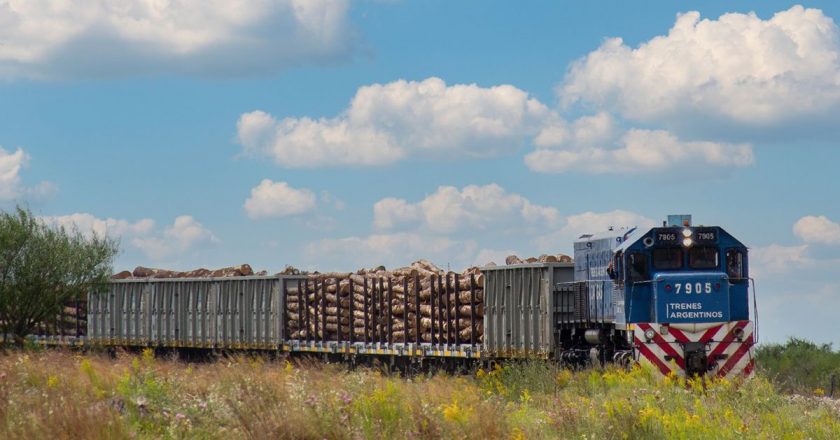 Maturano advirtió que habrá paro general de trenes si continúa suspendido el ramal Roca Cargas