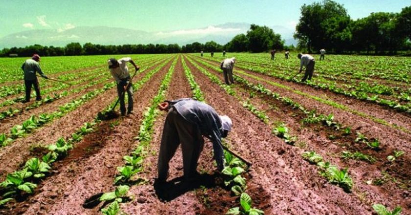 El Gobierno pone en marcha un programa para acompañar a hijos e hijas de peones rurales en todo el país