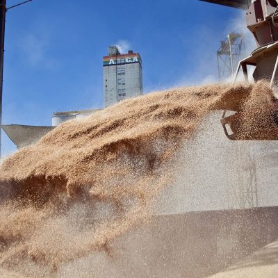 Conflicto en el sector agroexportador: La conciliación obligatoria evitó un paro en los puertos cerealeros, pero el reclamo salarial de los recibidores de granos sigue abierto