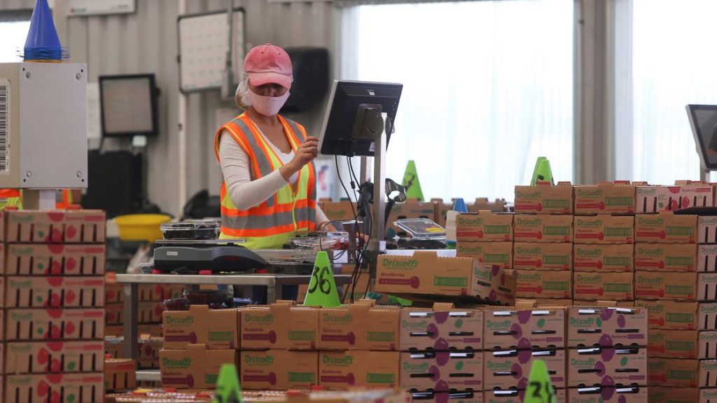 El 25% de las personas que perdieron su trabajo en la pandemia en América Latina todavía no lo recuperó