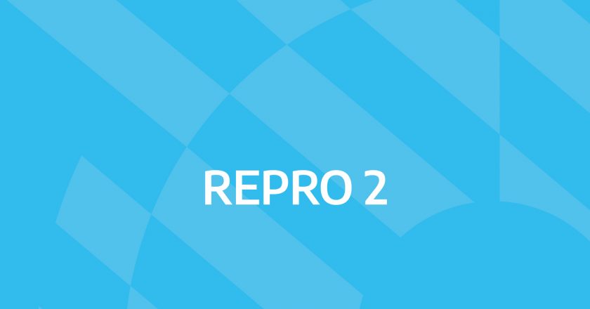 El Gobierno sumó el empleo de casas particulares al programa Repro II que paga parte de los salarios