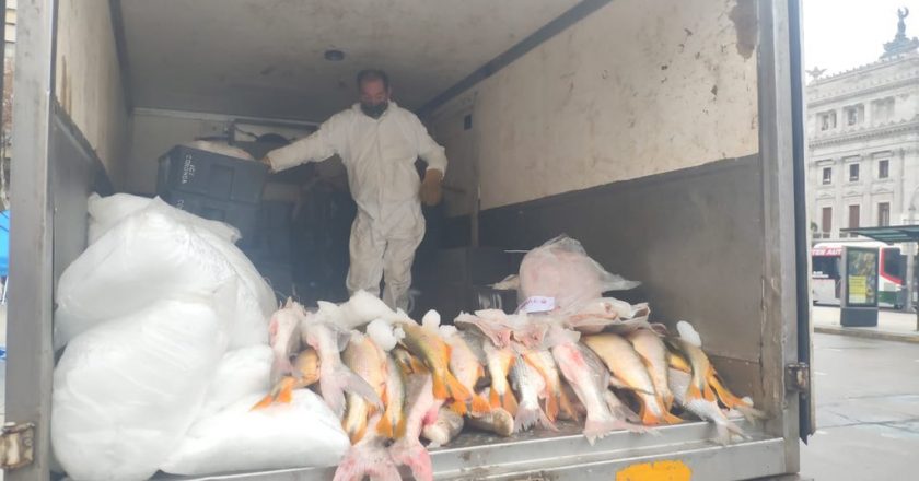 Cooperativas de pescadores realizarán mañana un nuevo «pescadazo» frente al Congreso Nacional para protestas los bajos precios que les pagan los frigoríficos