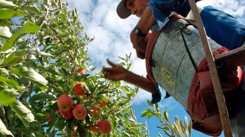 Al compás de la inflación, el Sindicato de la Fruta acordó un aumento del 50,9% en paritarias