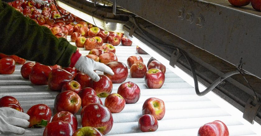 Al compás de la inflación 2021, el Sindicato de la Fruta acordó un aumento del 50,9% en paritarias