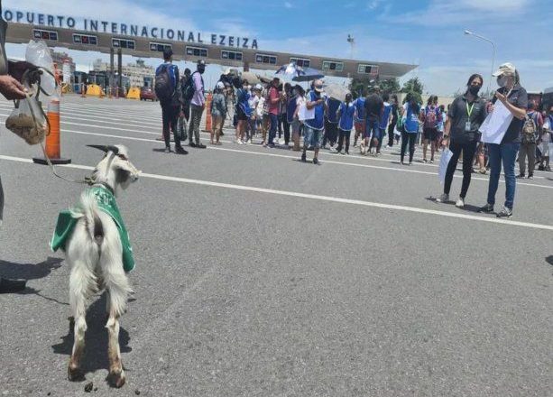 Con una protesta que incluyó animales, los trabajadores de ATE Senasa cortaron la AU Richieri