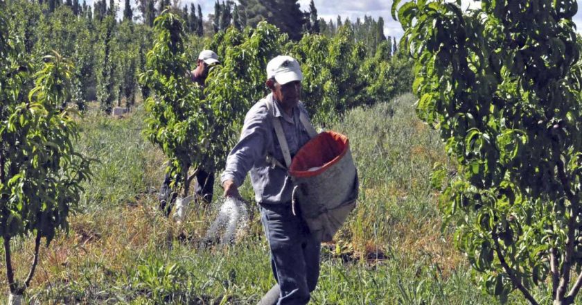 El gobierno y el Renatre harán operativos de difusión sobre nuevos beneficios para trabajadores rurales registrados