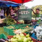 Los que producen alimentos se endeudan para comer: tres de cada cuatro familias campesinas del cinturón hortícola platense están en rojo