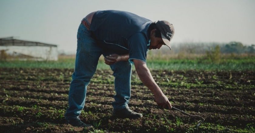 La rama agraria del gremio de las organizaciones sociales le reclamó al Gobierno que se reglamente la ley de Agricultura Familiar