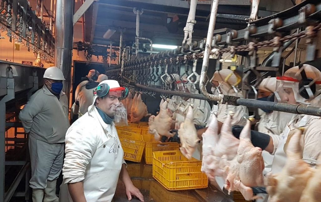 La Federación de la Carne revisó sus paritarias y acordó un incremento de casi el 58% para la actividad avícola