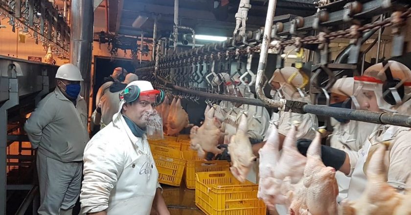 La UATRE consiguió un aumento de casi el 82% para los trabajadores avícolas