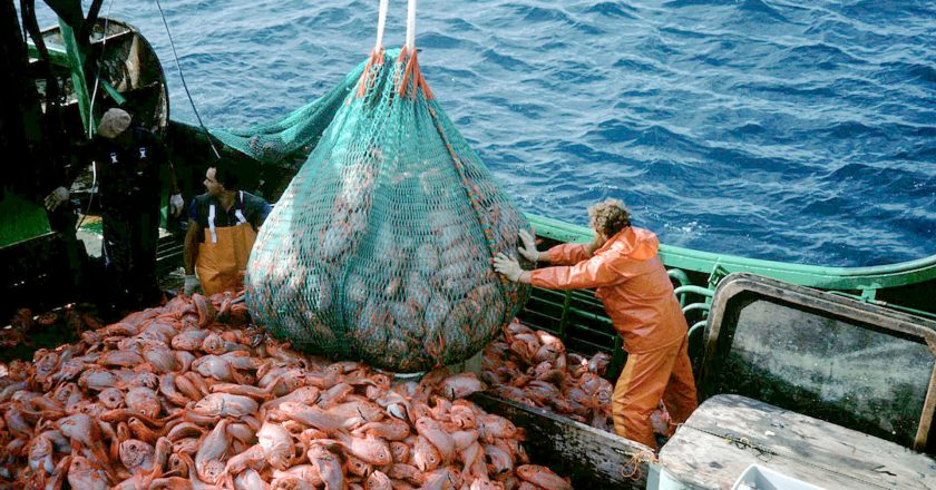 Pescadores y marítimos de la pesca fresquera formalizaron paritaria del 45% en 2 tramos