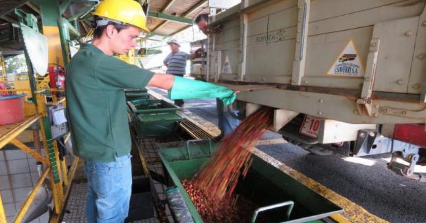 El empleo agroindustrial creció 0,5% interanual en febrero y alcanzó los 908.644 puestos de trabajo