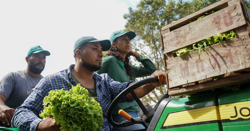 Gremio de campesinos se concentra en avenida de Mayo y 9 de Julio para marchar a Plaza de Mayo con un «verdurazo»